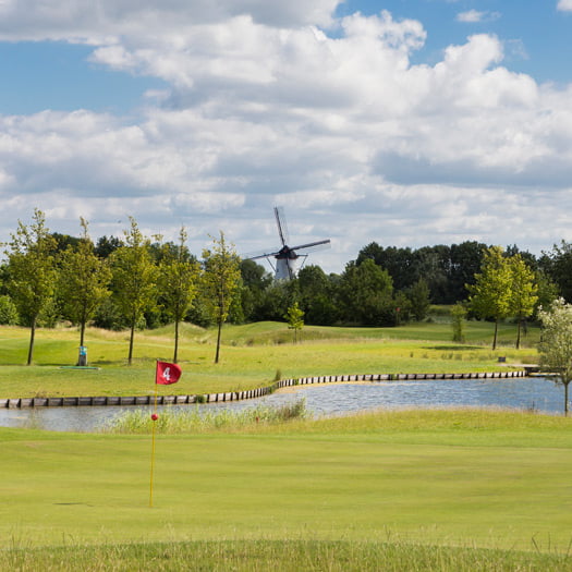 Golfbaan in het hollandse landschap met een molen op de achtergrond