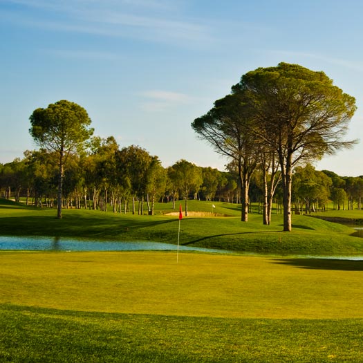 De hole op een groene golfbaan
