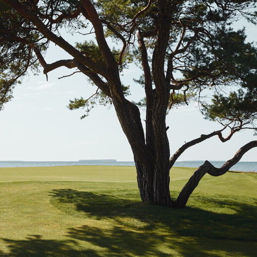 uitzicht vanaf een schilderachtige golfbaan